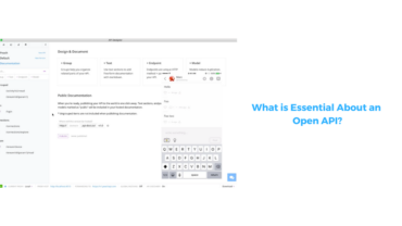 What is Essential About an Open API?
