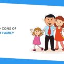 Pros And Cons of Nuclear Family