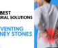 The Best Natural Solutions for Preventing Kidney Stones