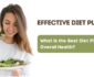 Effective Diet Plans – What is the best diet plan for overall health?