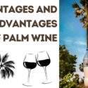 Advantages and Disadvantages of Palm Wine (Toddy)