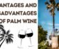 Advantages and Disadvantages of Palm Wine (Toddy)