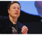 Elon Musk Net worth Journey: From Global richest to Market Reality