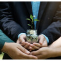 Ireland Sustainability Grants: Fund Your Green Business Growth