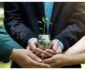 Ireland Sustainability Grants: Fund Your Green Business Growth